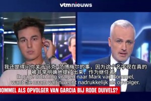 改朝換代？誰可能成為比利時國家隊新任主教練？會是范博梅爾嗎？