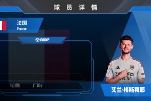 已官宣！阿森納免簽前利茲聯(lián)門(mén)將梅斯利耶！看看集錦吧