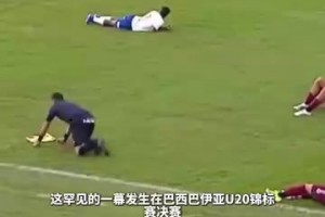全員臥倒！蜂群闖入賽場全員趴地躲避！