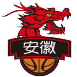 安徽皖江龍