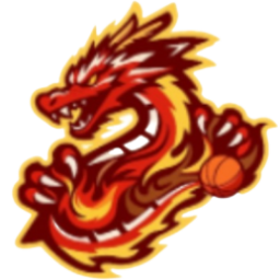 貴州猛龍